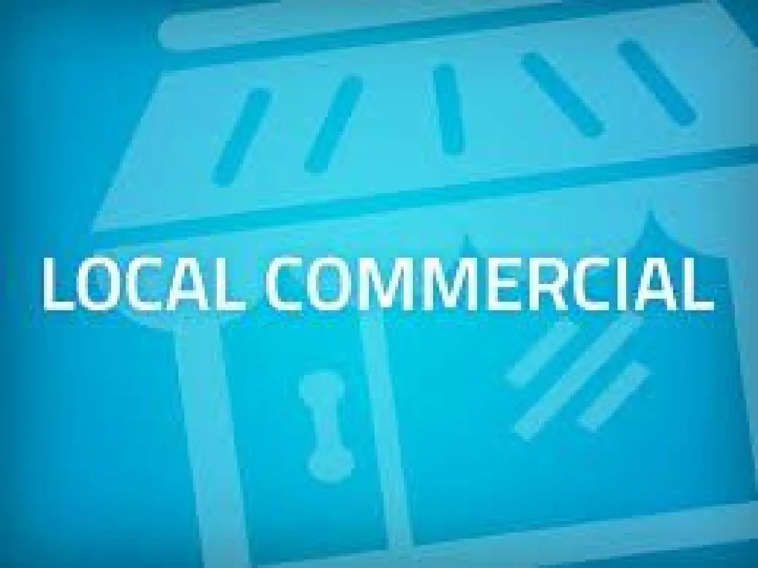  en venta local comercial Le Grau-du-Roi Gard 1