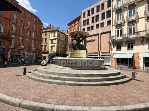 Toulouse Haute-Garonne Gewerbeimmobilie Bild 7101160