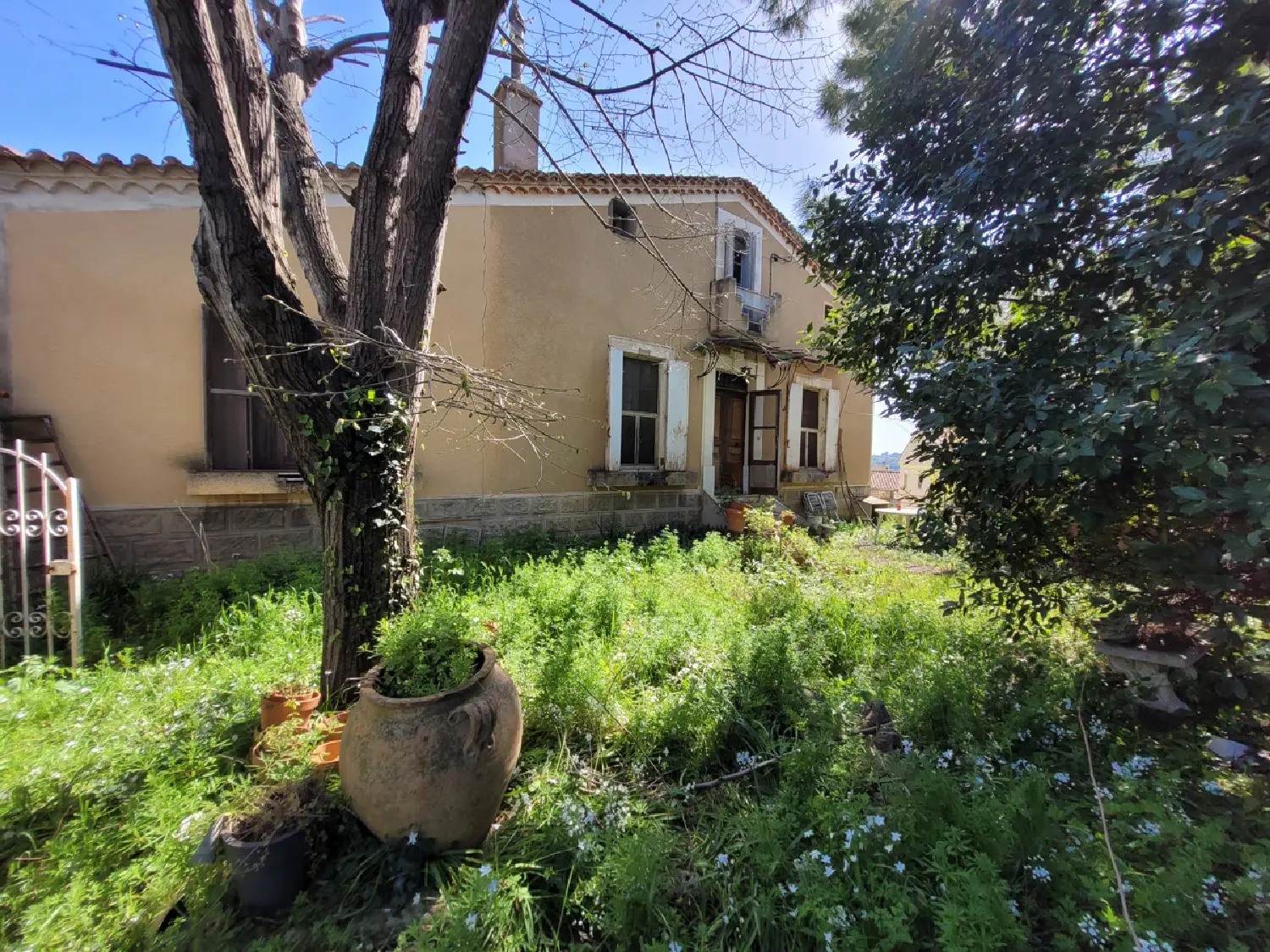  en venta casa independiente Cabrerolles Hérault 4
