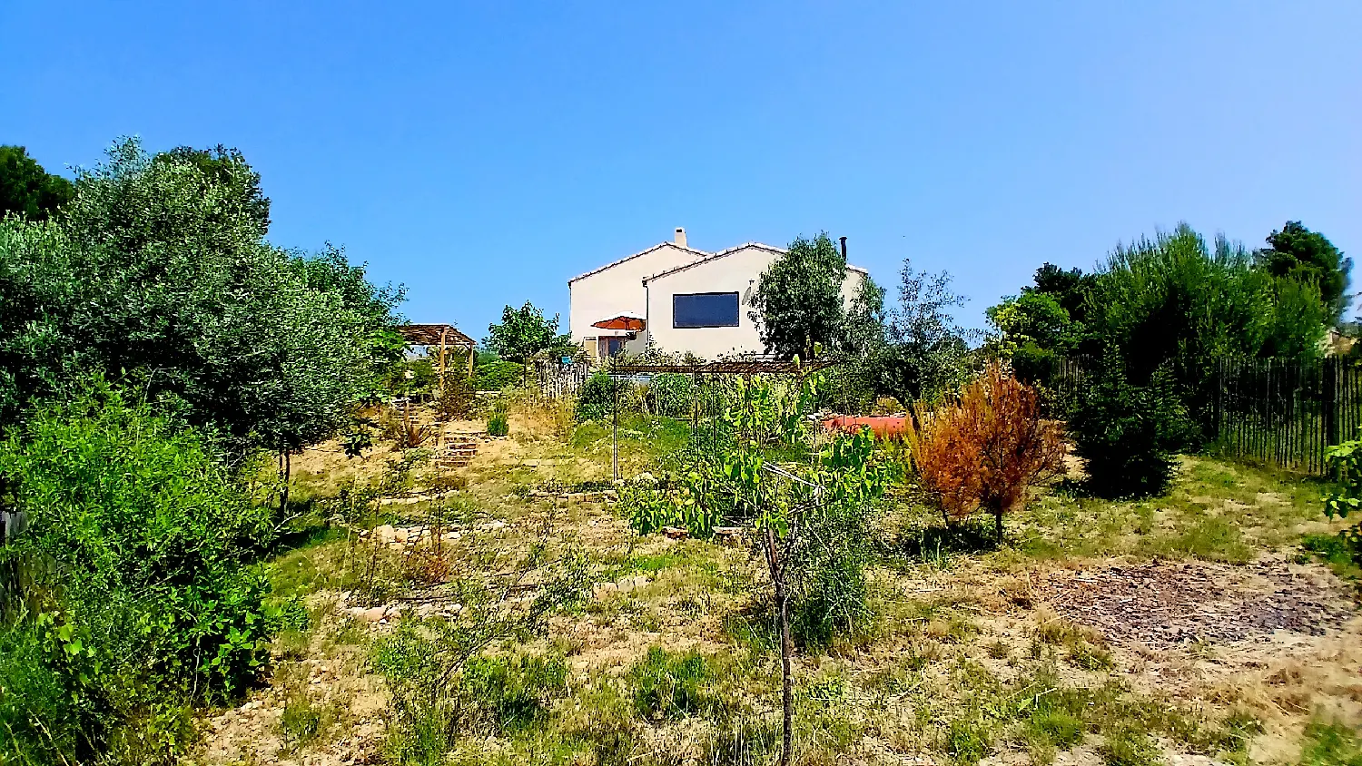  à vendre maison indépendant Montady Hérault 5