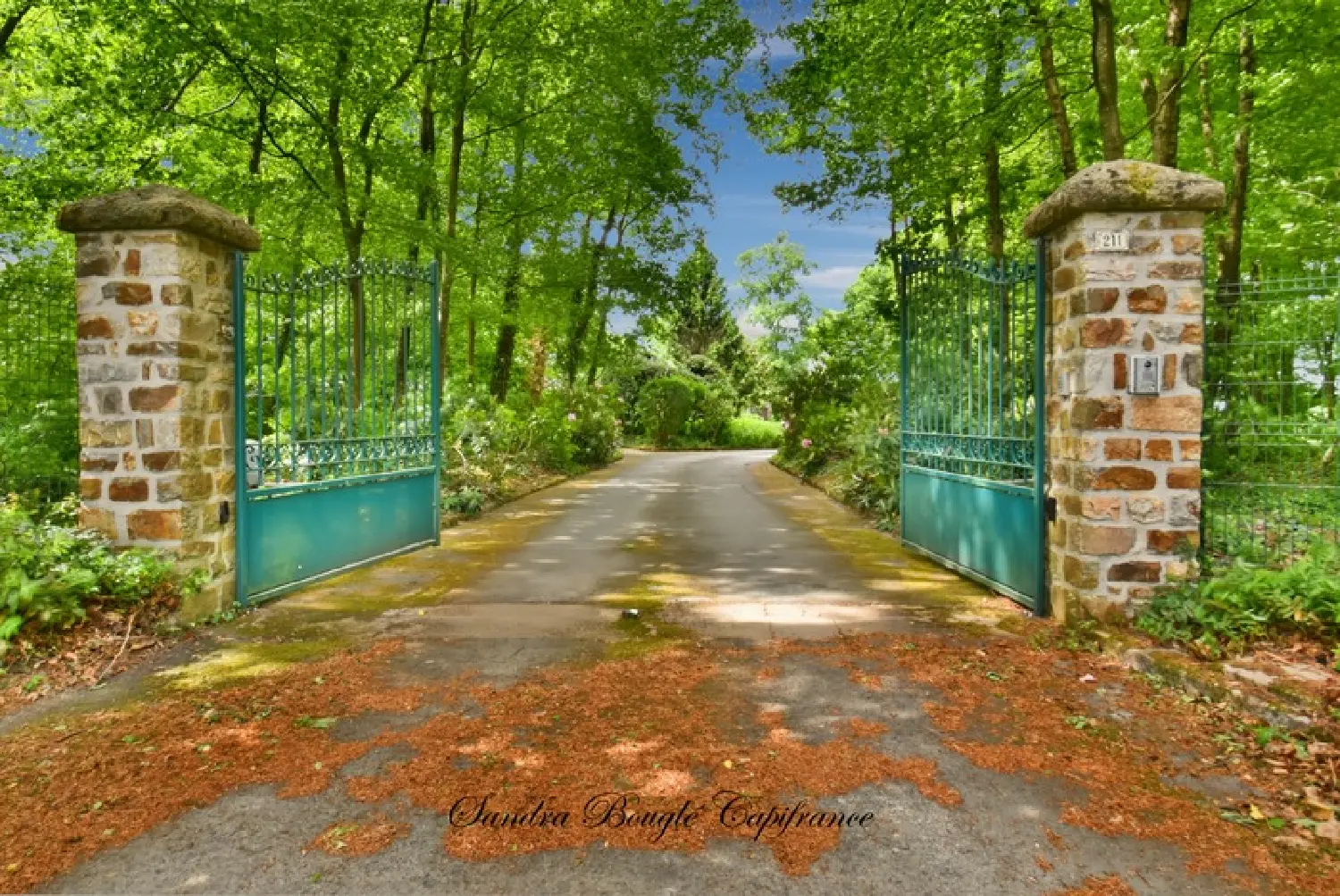 en venta finca rústica Balazé Ille-et-Vilaine 2