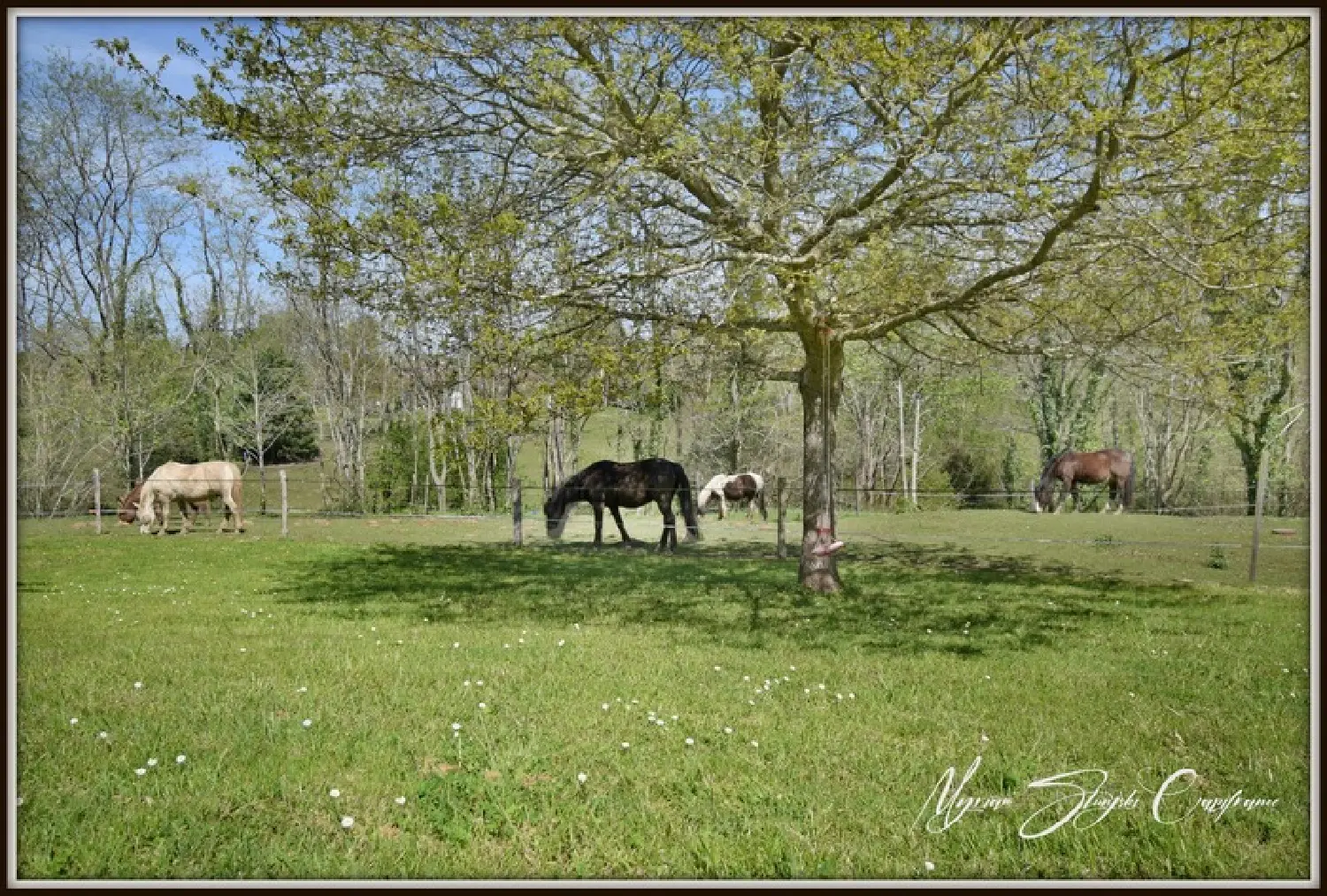  à vendre propriété Capbreton Landes 3