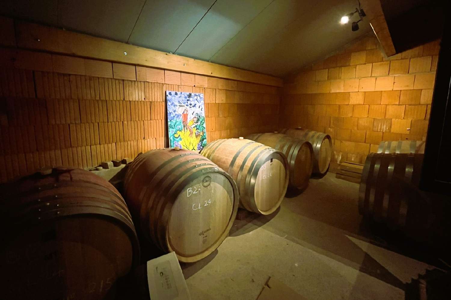  en venta finca rústica Caux Hérault 6