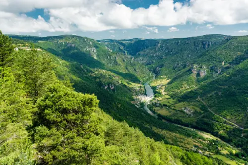 Compeyre Aveyron Landgut Bild 7098371