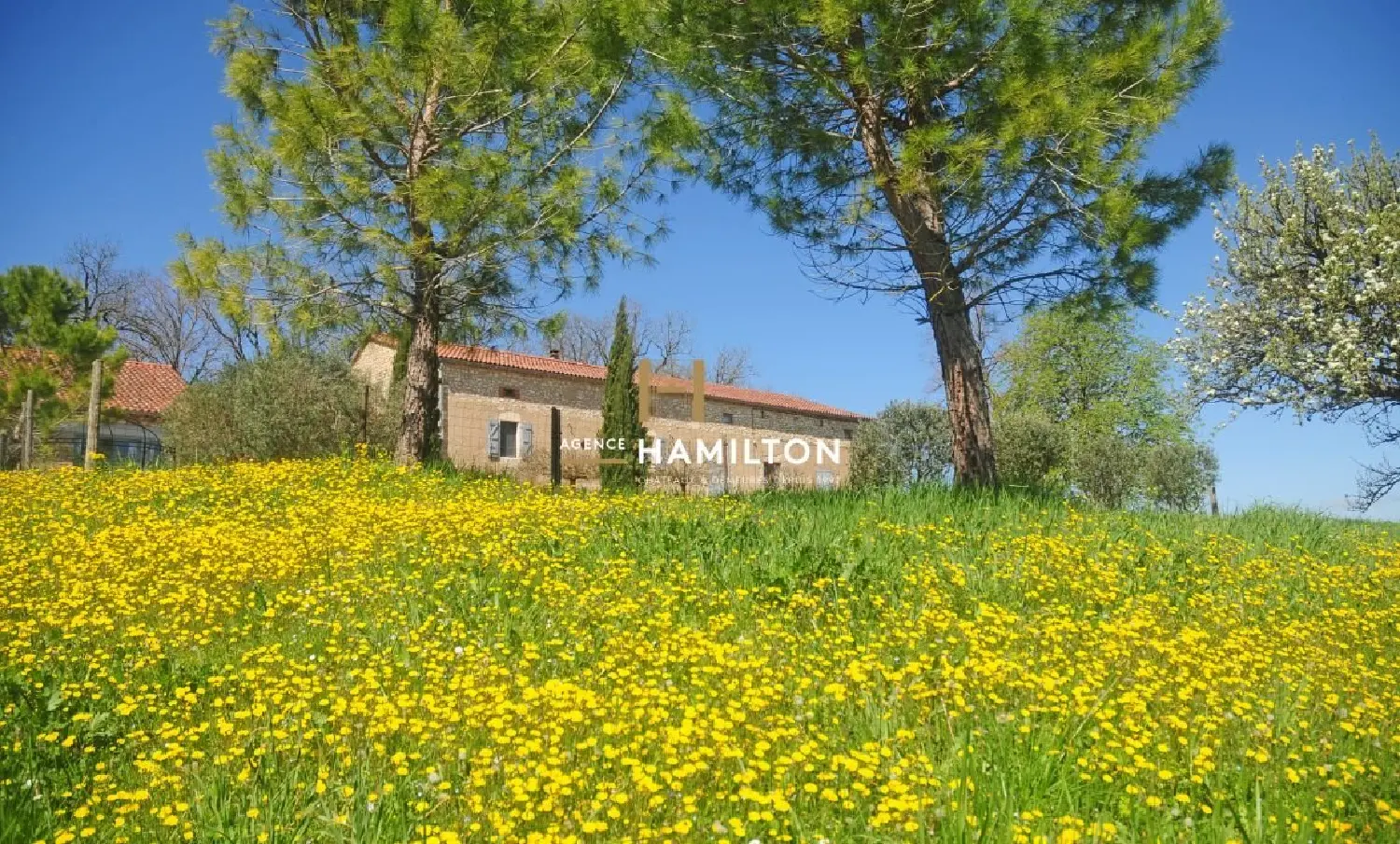  for sale estate Gaillac Tarn 4