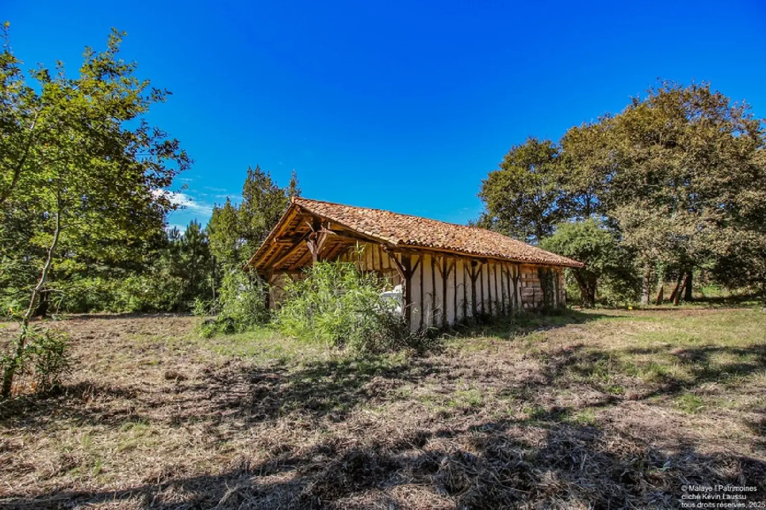  en venta finca rústica Laluque Landes 6