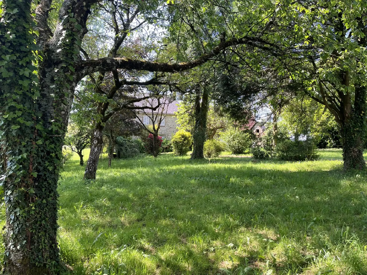  à vendre propriété Le Pescher Corrèze 1