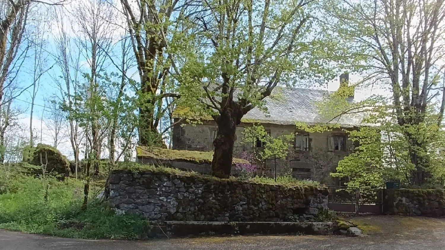  en venta finca rústica Le Vaulmier Cantal 1
