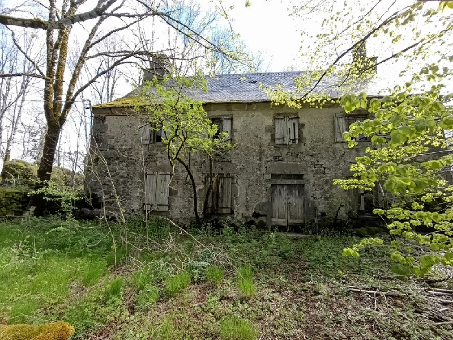  en venta finca rústica Le Vaulmier Cantal 2
