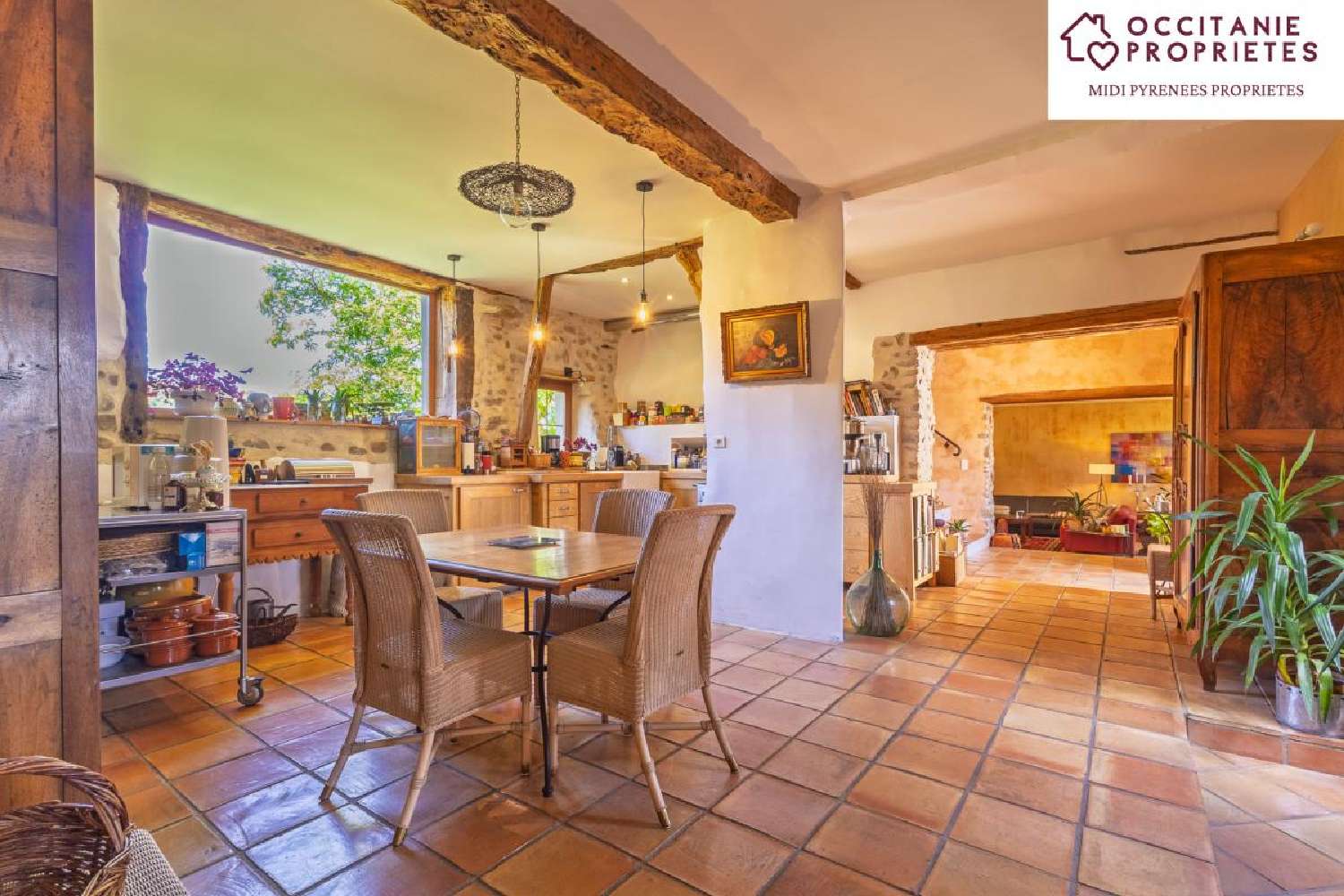 en venta finca rústica Loupia Aude 3