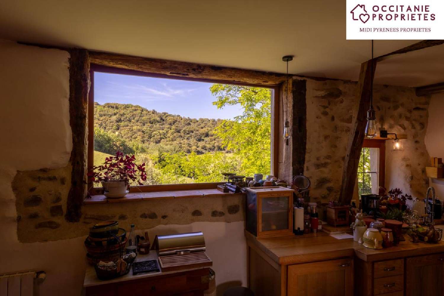  en venta finca rústica Loupia Aude 6