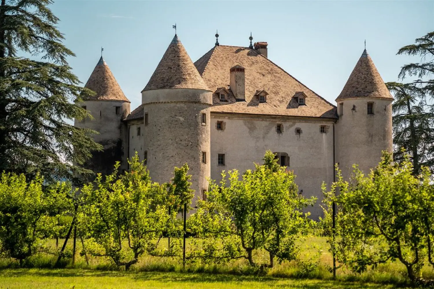  en venta finca rústica Lully Haute-Savoie 7