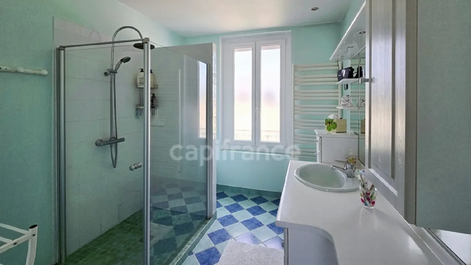  à vendre propriété Lux Saône-et-Loire 7
