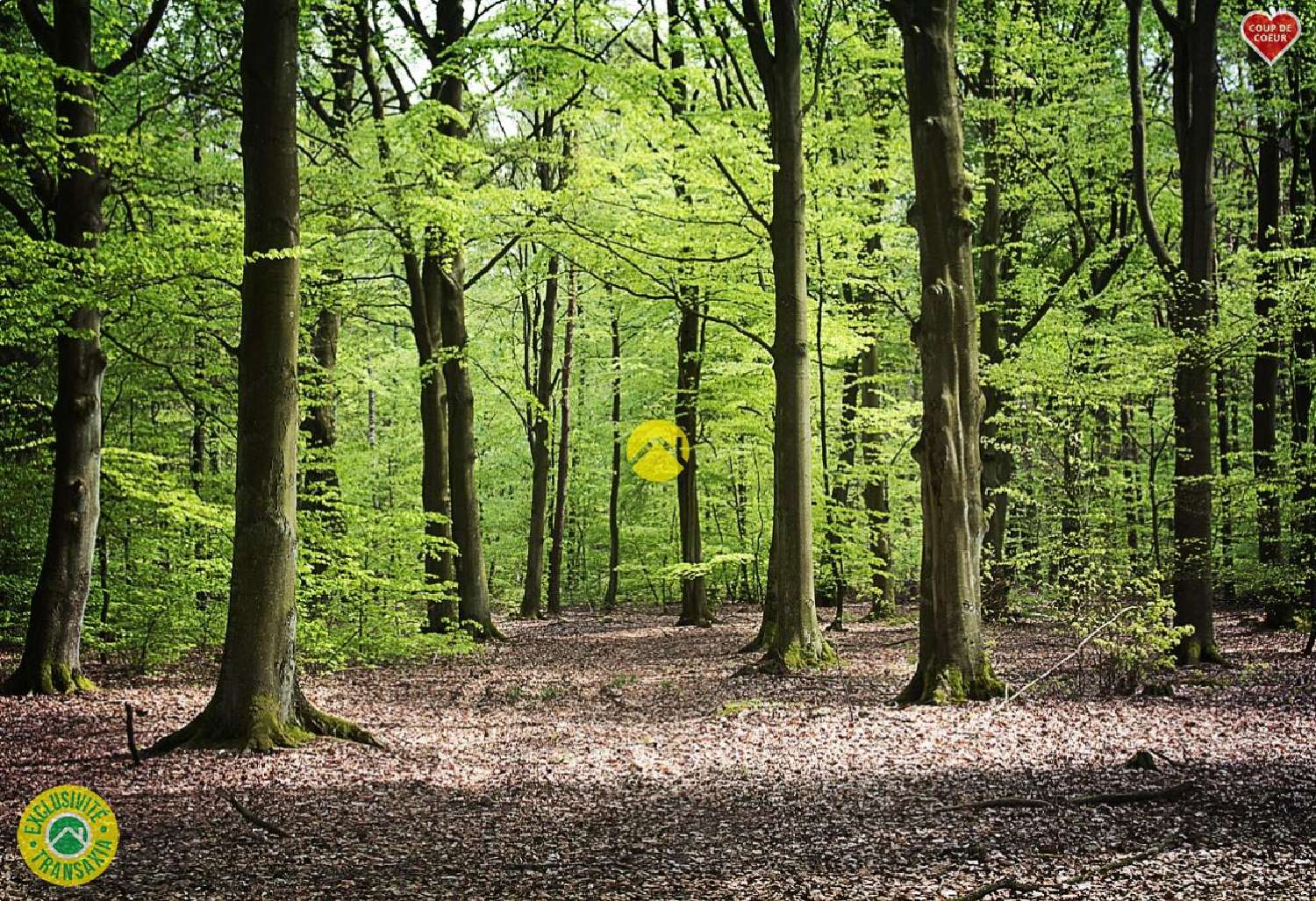  à vendre propriété Malbo Cantal 1