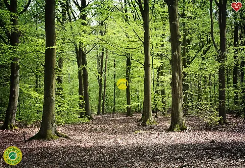 Malbo Cantal propriété foto
