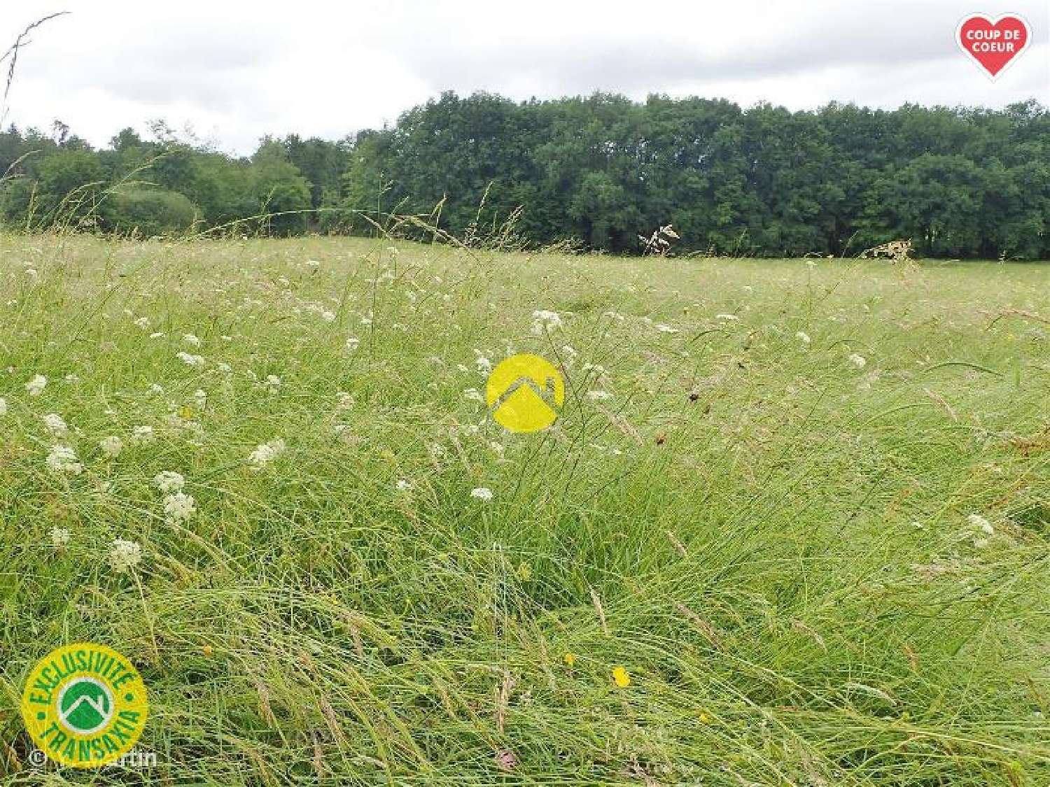  à vendre propriété Malbo Cantal 2