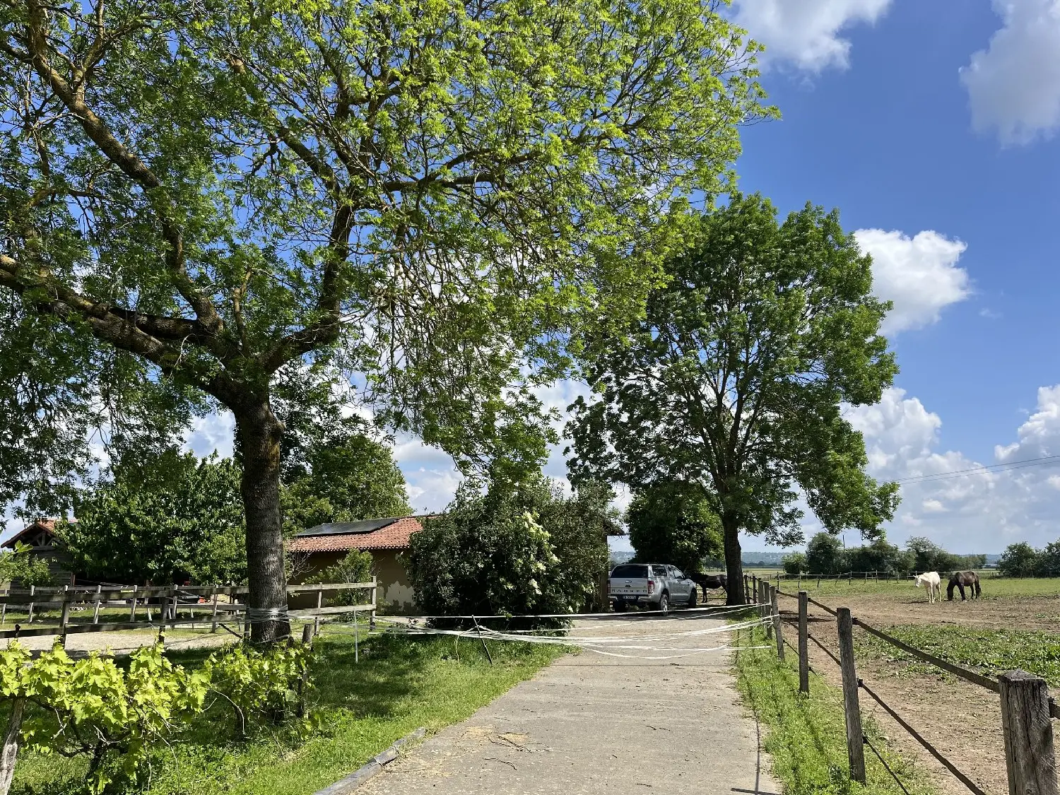  kaufen Landgut Martres-de-Rivière Haute-Garonne 2