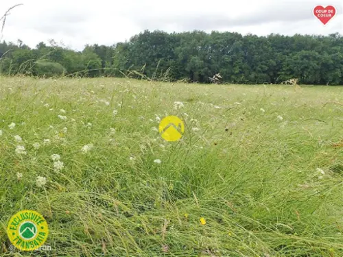  te koop landgoed Brezons Cantal 2