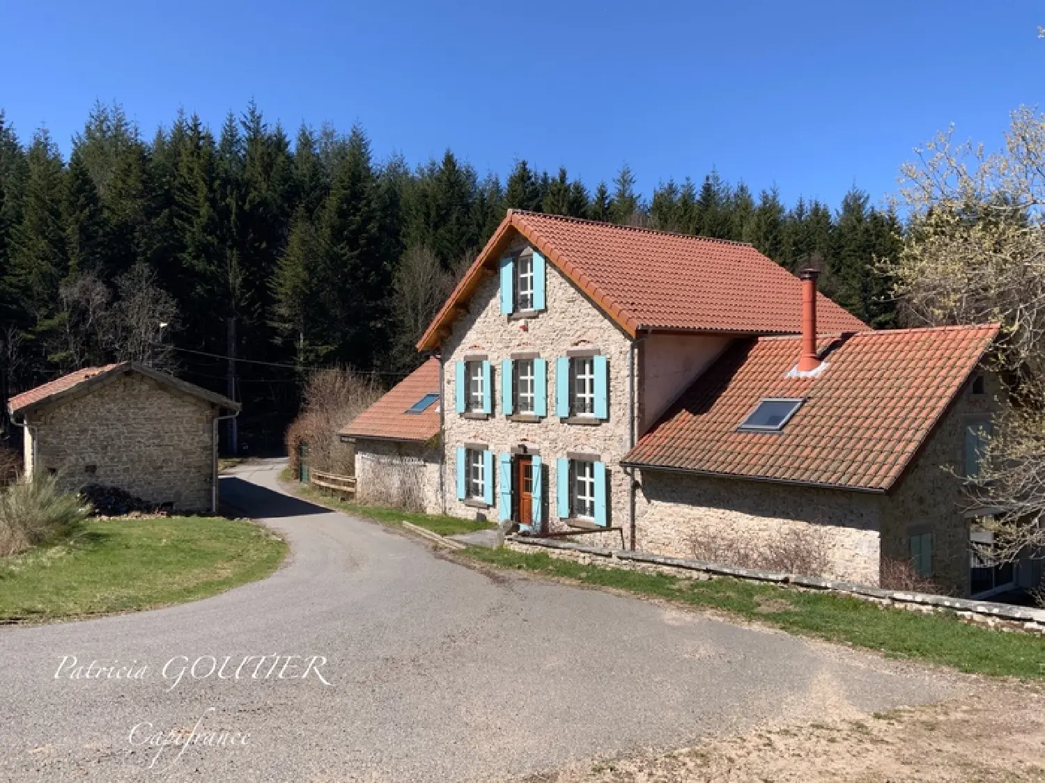  en venta finca rústica Noirétable Loire 1
