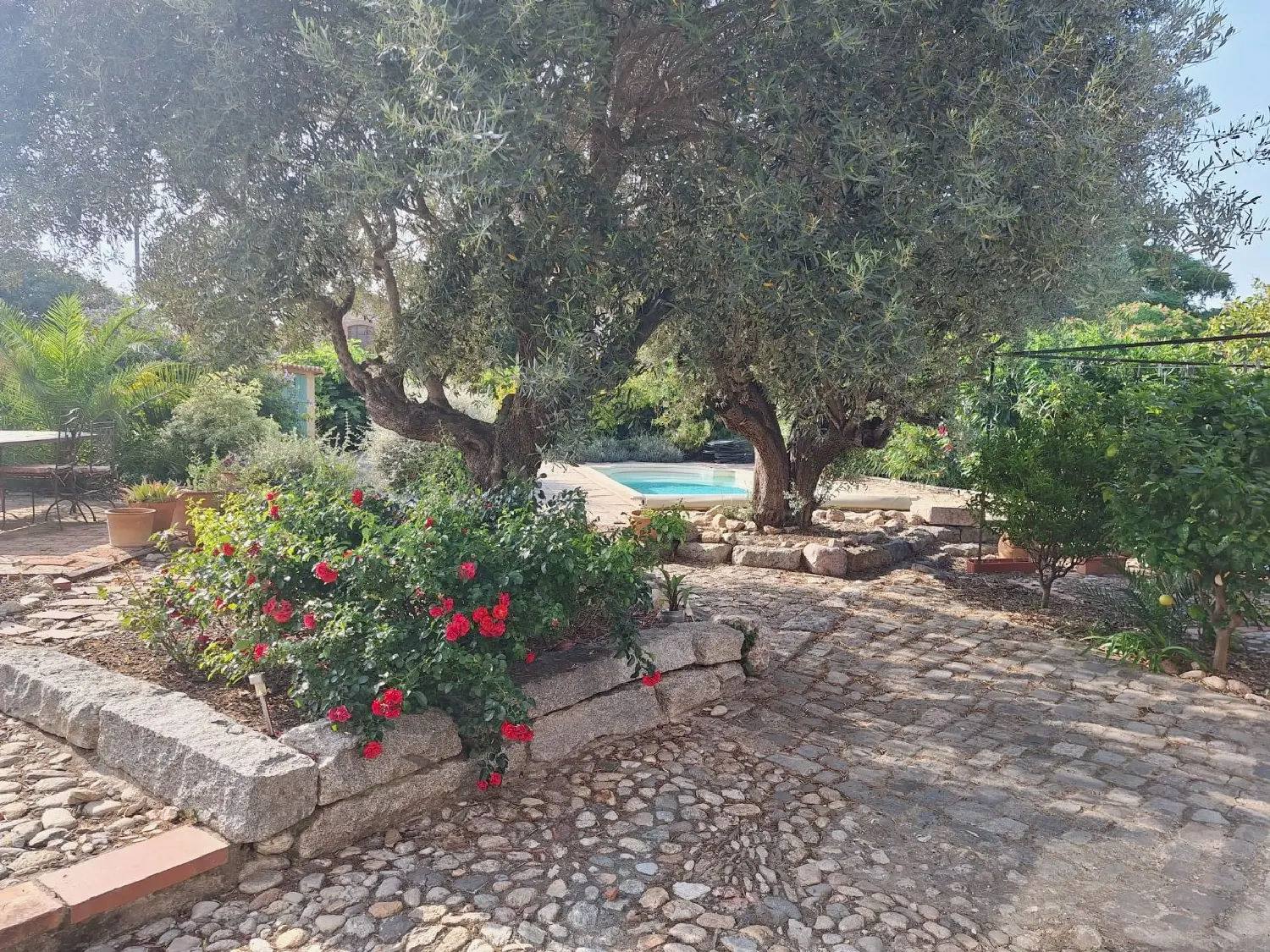  en venta finca rústica Ortaffa Pirineo Oriental 2