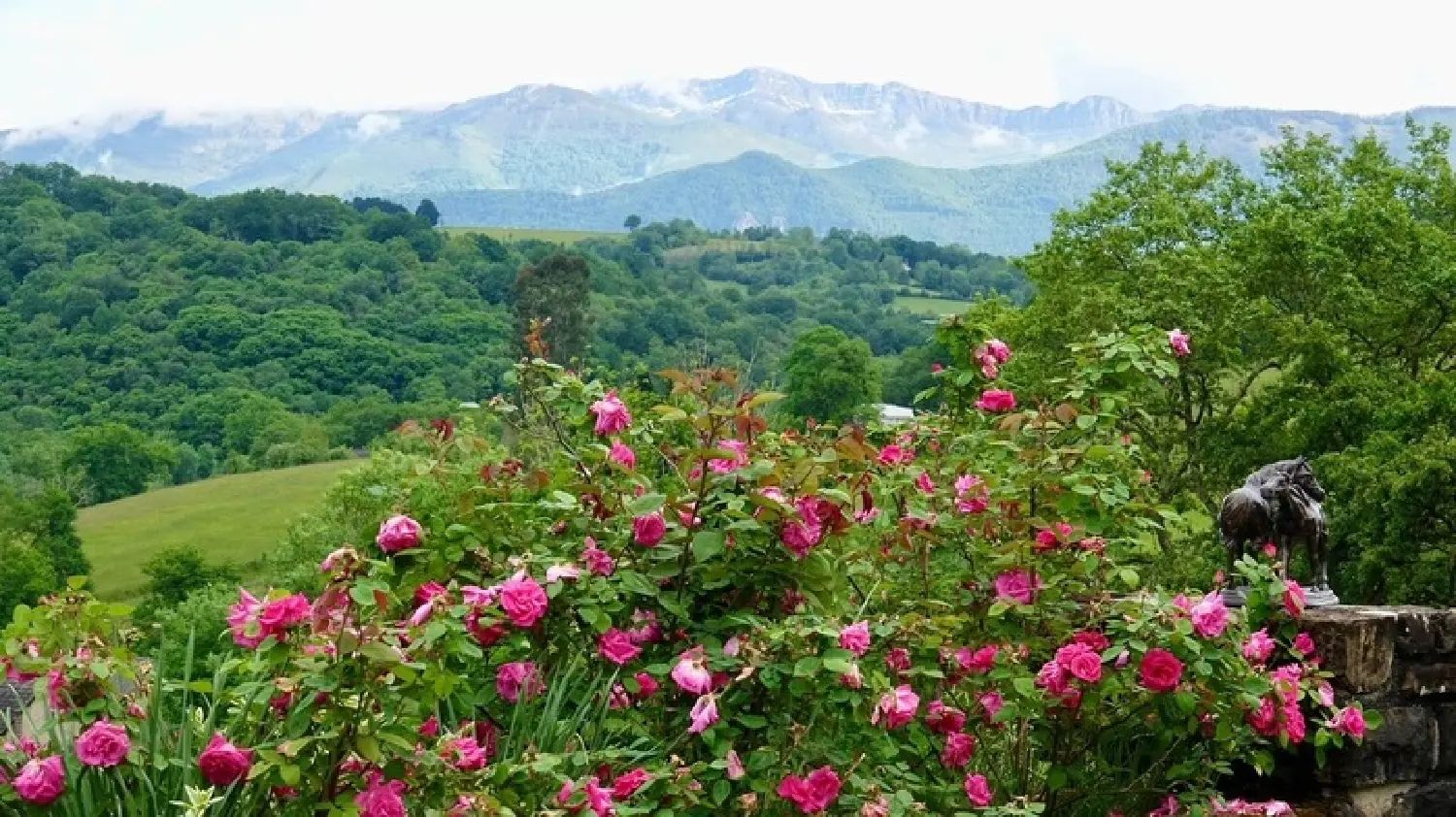  à vendre propriété Pau Pyrénées-Atlantiques 8