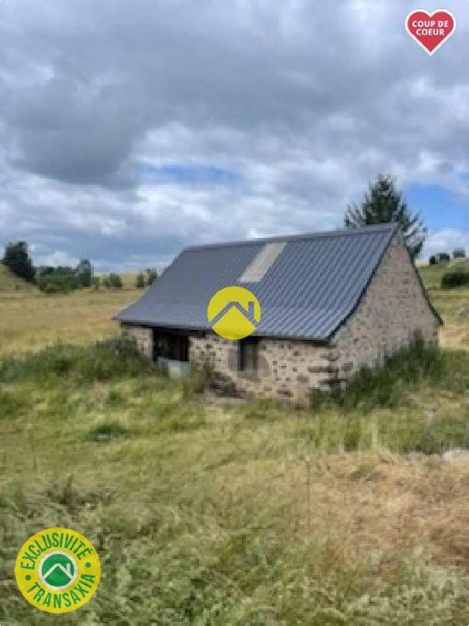  te koop landgoed Pierrefort Cantal 1