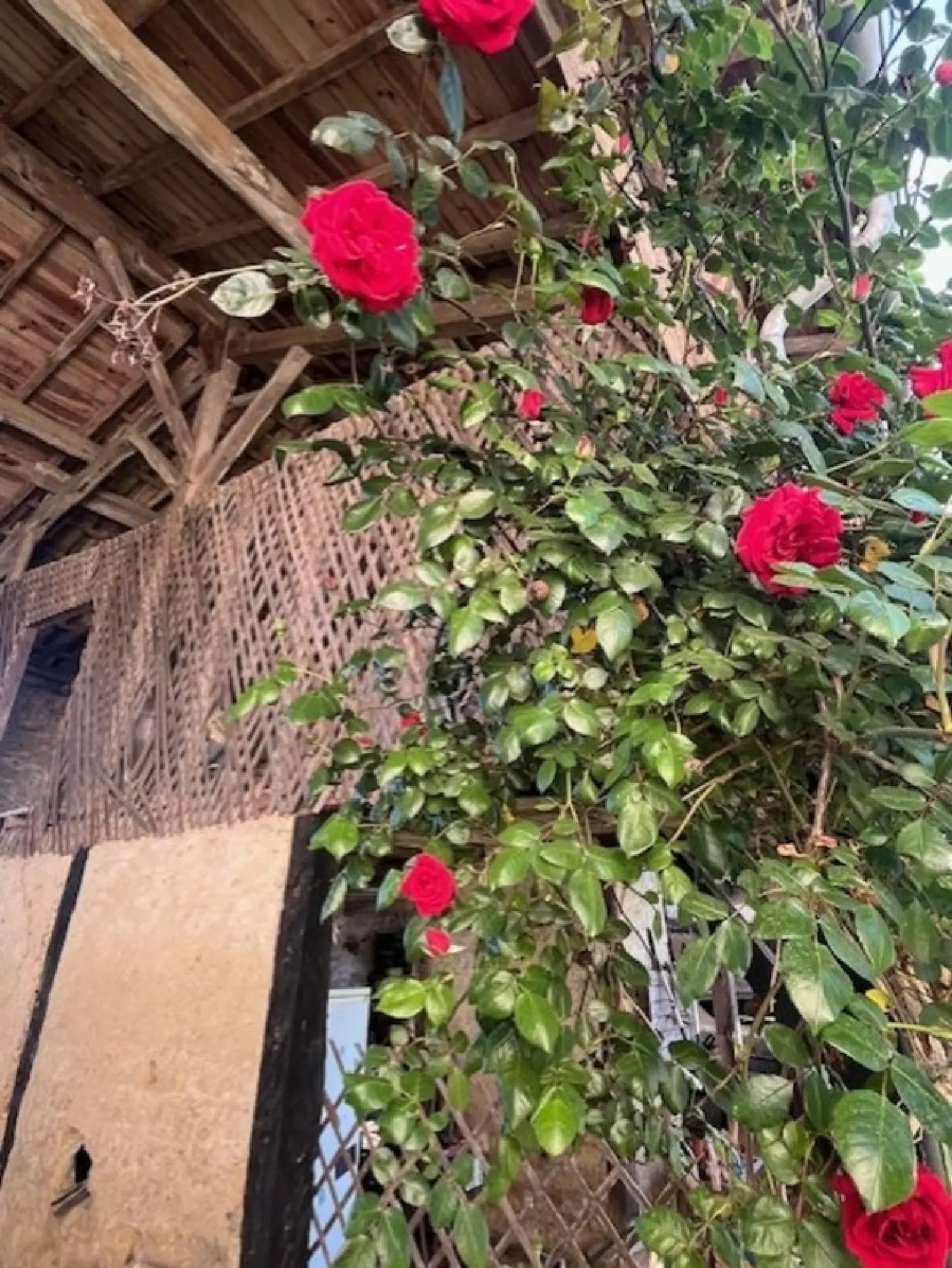 en venta finca rústica Plaisance Gers 8