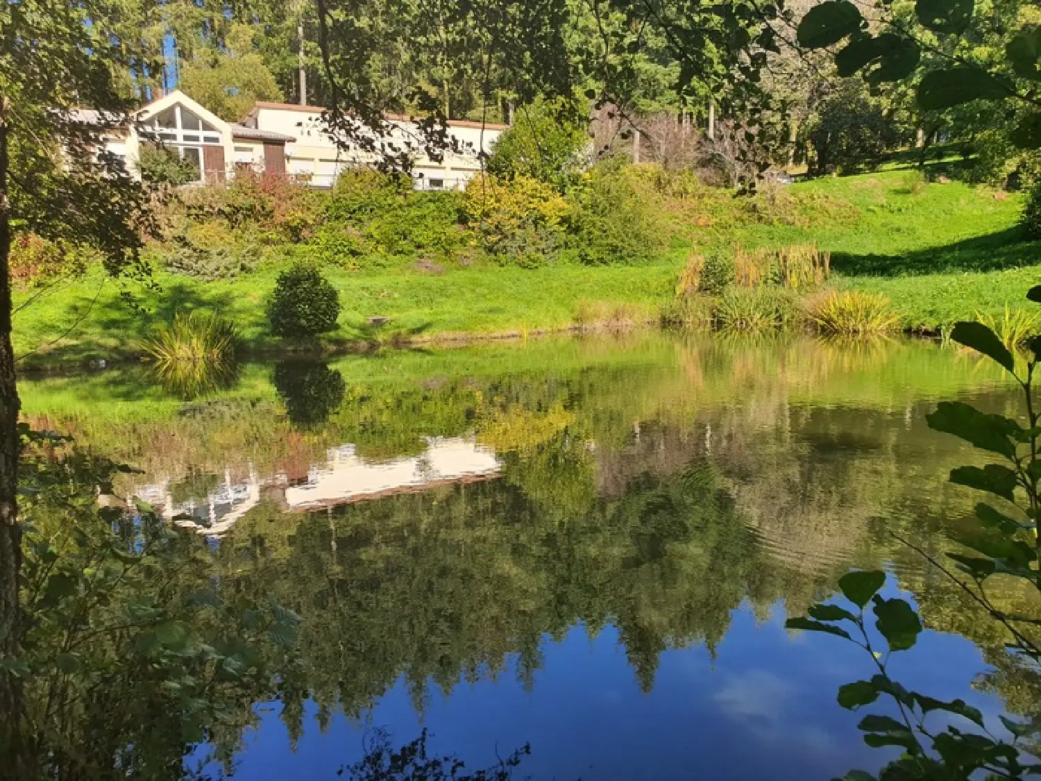  à vendre propriété Remiremont Vosges 1