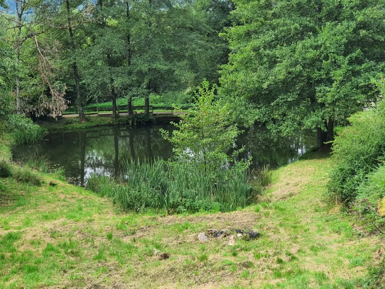  à vendre propriété Remiremont Vosges 3