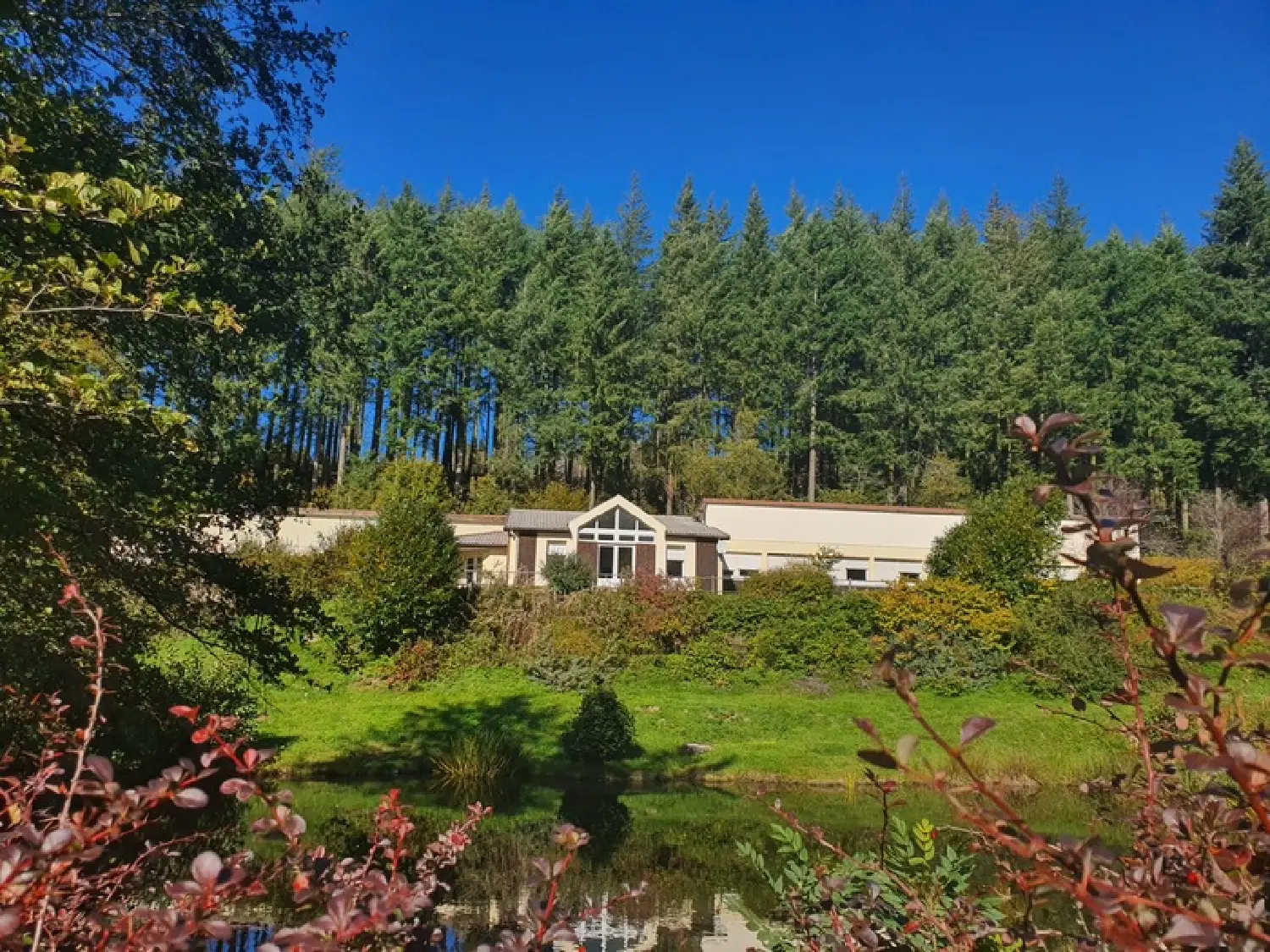  à vendre propriété Remiremont Vosges 4