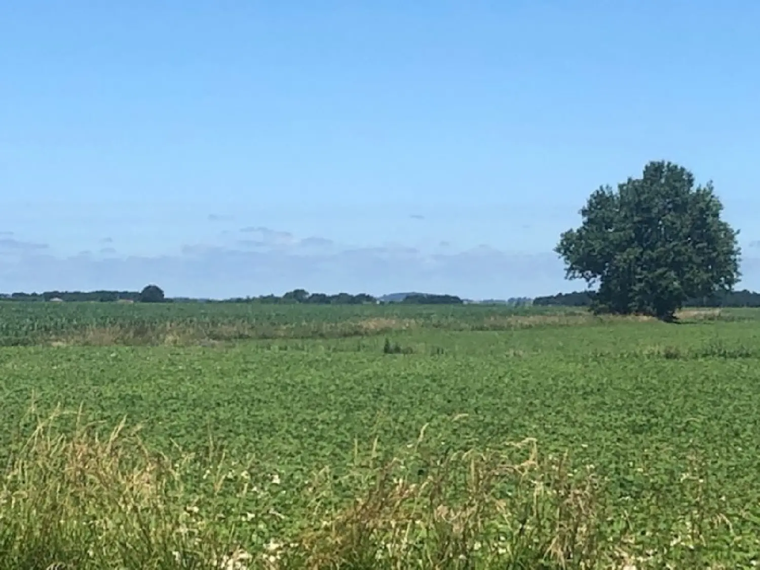  te koop landgoed Riscle Gers 4