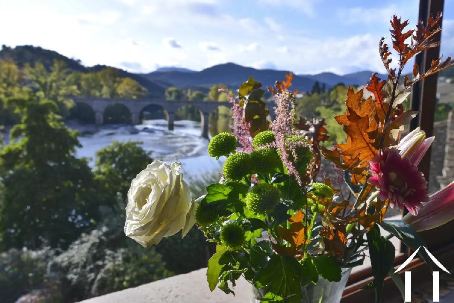  à vendre propriété Roquebrun Hérault 6