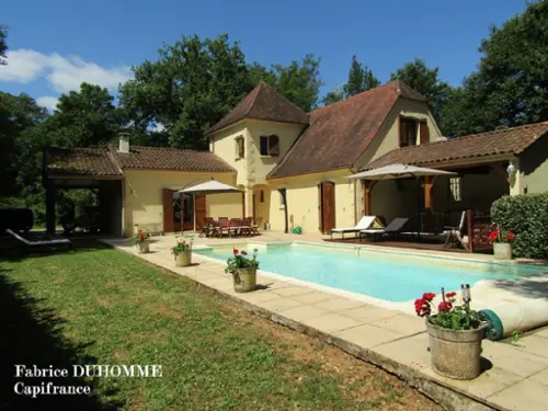 Saint-Léon-sur-Vézère Dordogne landgoed foto 7091901