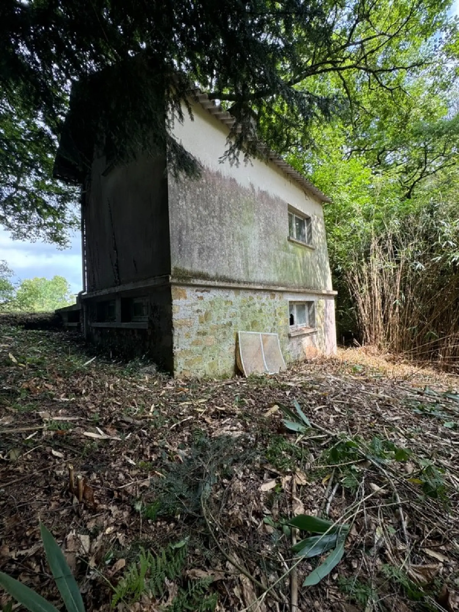  kaufen Landgut Saint-Nicolas-Courbefy Haute-Vienne 5