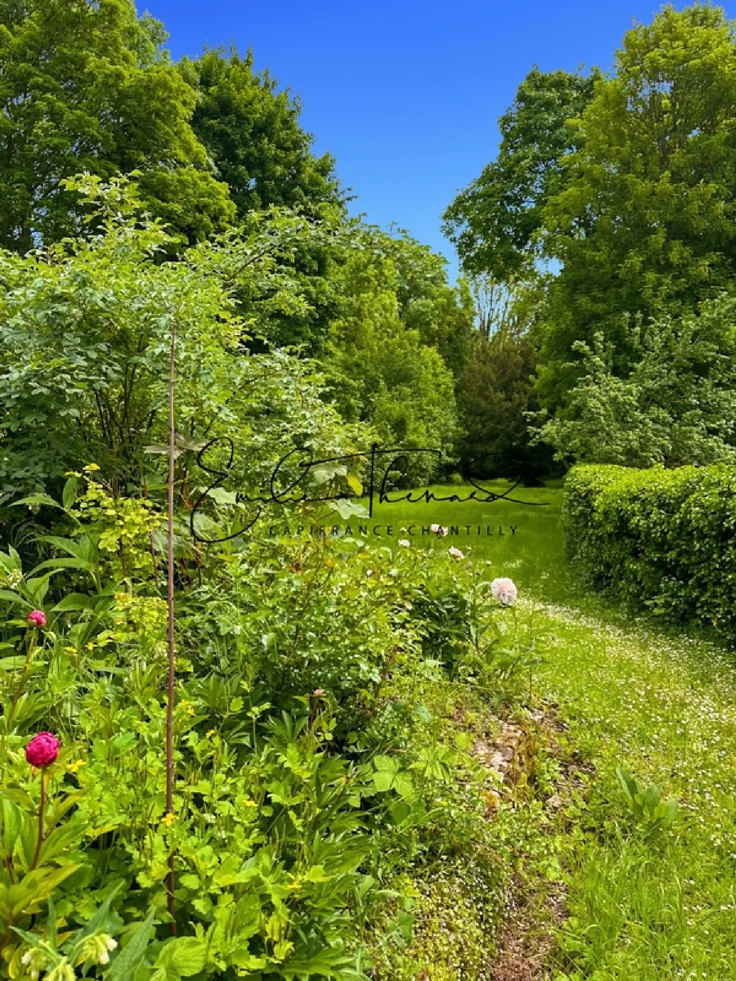  à vendre propriété Senlis Oise 4