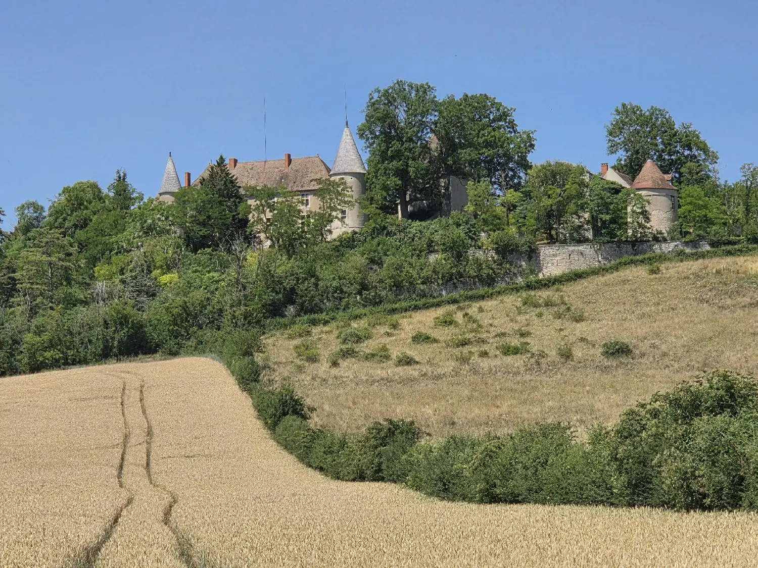  en venta finca rústica Vicq Allier 1