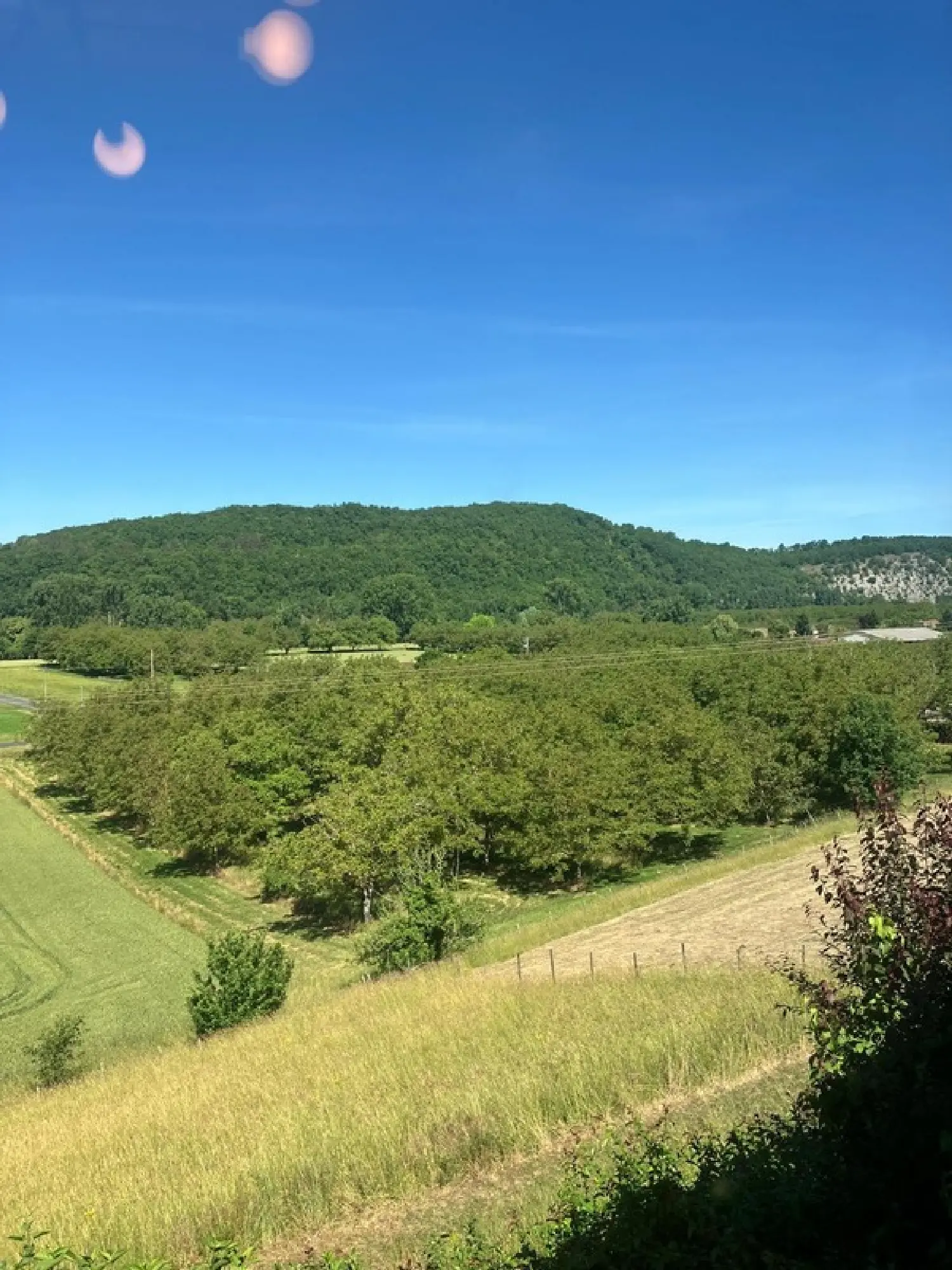  te koop boerderij Aubas Dordogne 4