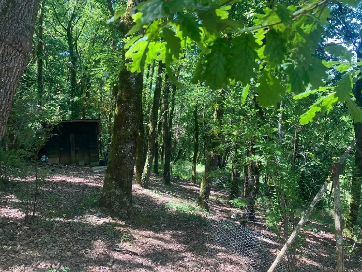  te koop boerderij Aubas Dordogne 5