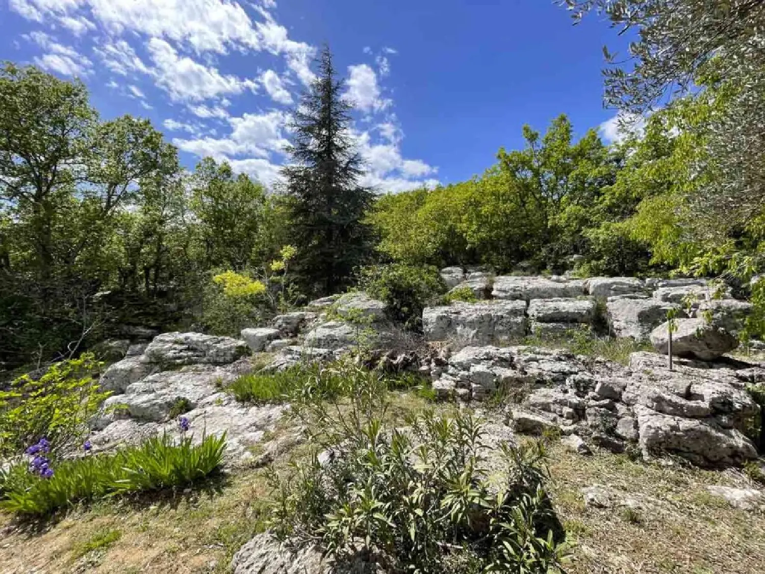  for sale farm Balazuc Ardèche 8