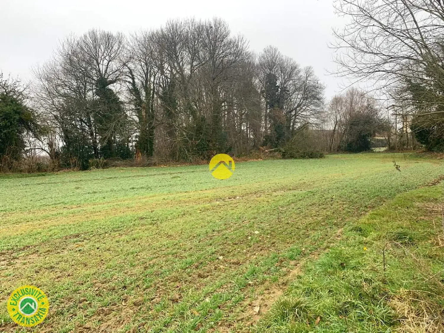  à vendre ferme Boussac Creuse 6