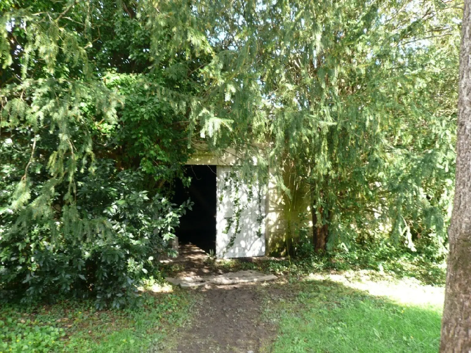  en venta casa rústica Burie Charente-Maritime 8