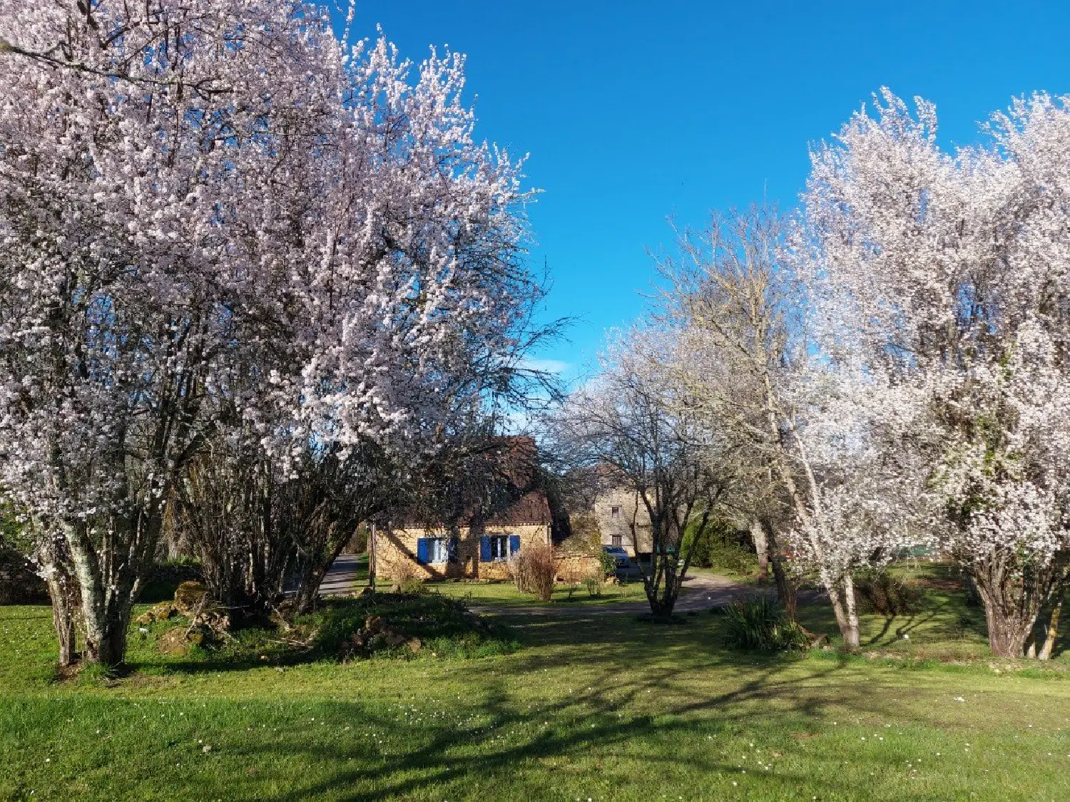  kaufen Bauernhof Cadouin Dordogne 2