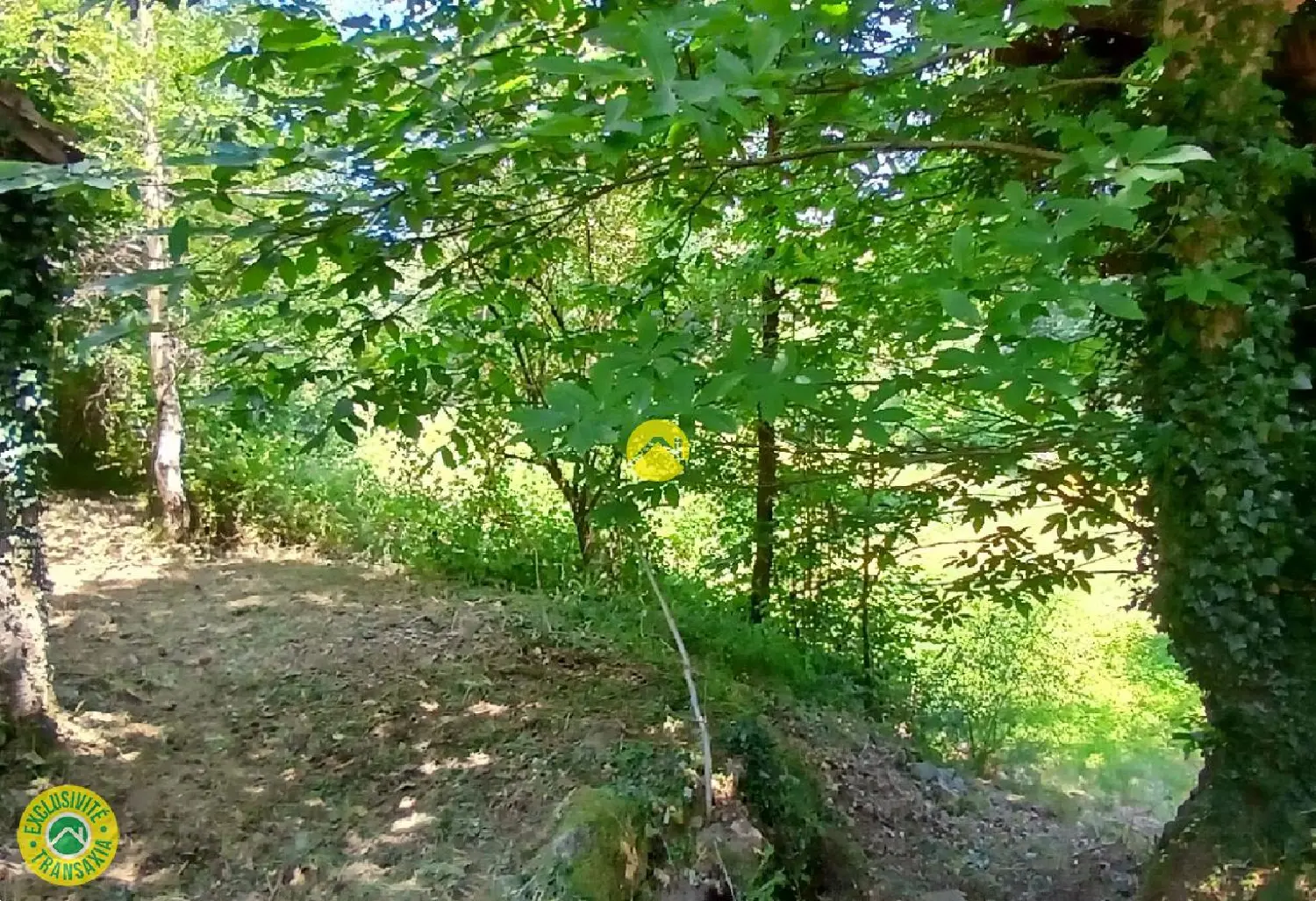  kaufen Bauernhof Chavanat Creuse 3