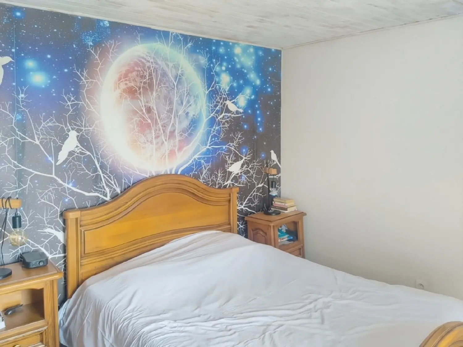  en venta casa rústica Coiffy-le-Haut Haute-Marne 7