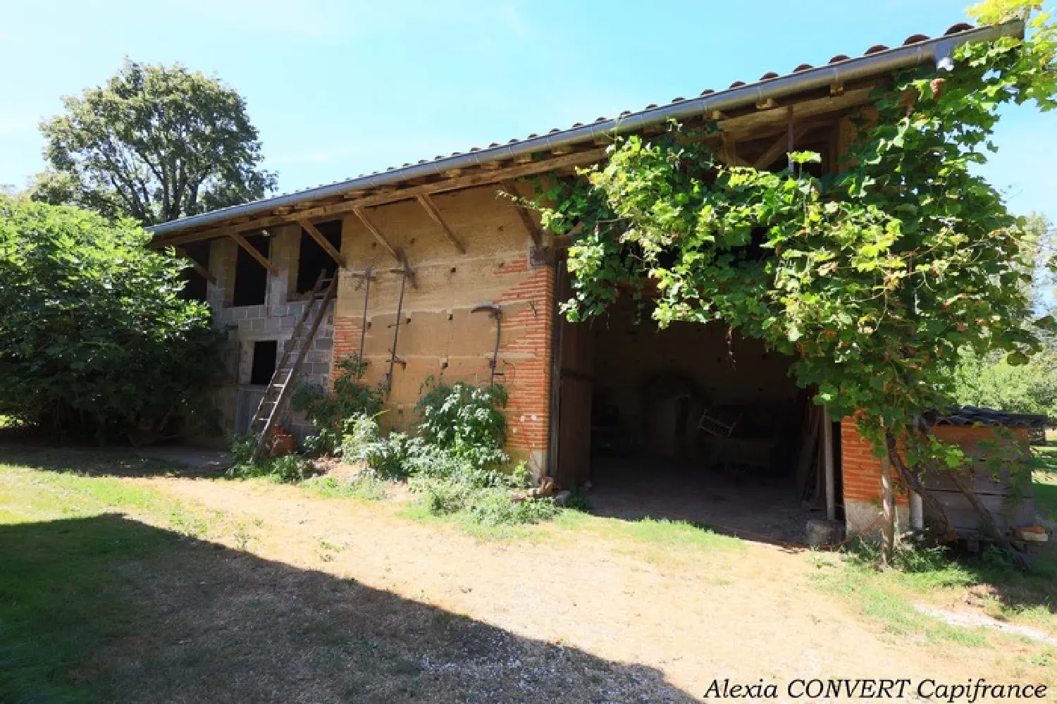  for sale farm Dommartin-lès-Cuiseaux Saône-et-Loire 7
