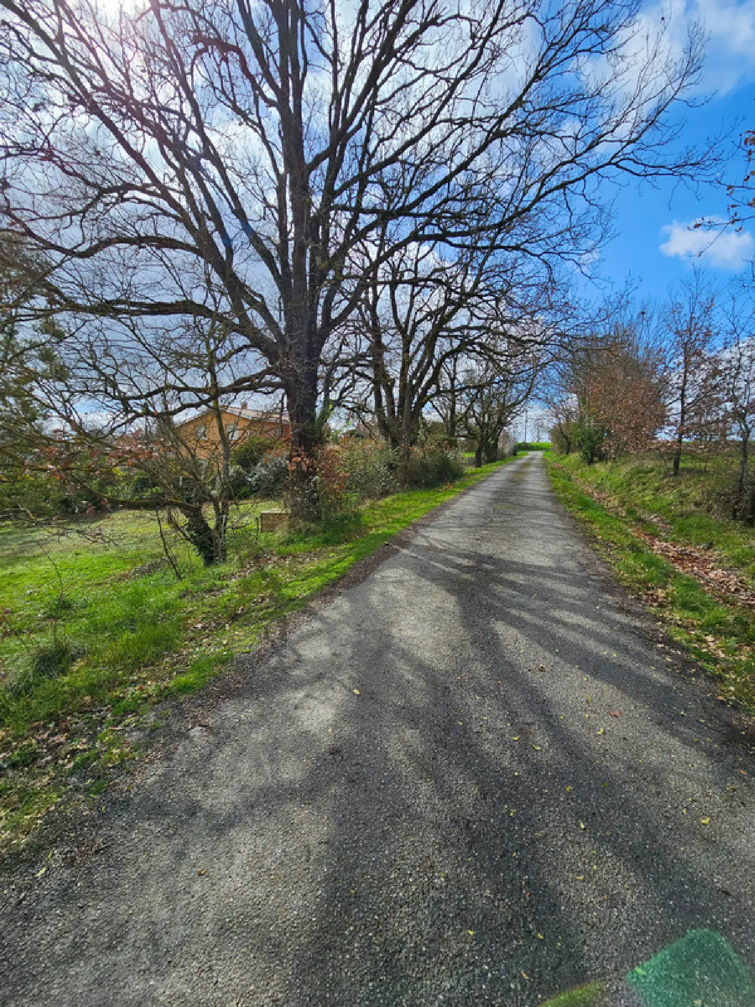  à vendre ferme Gauré Haute-Garonne 4