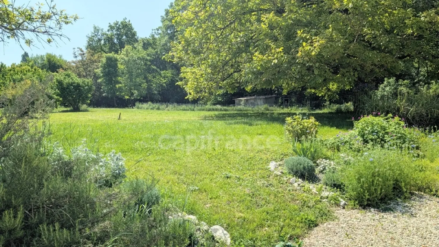  for sale farm Juillac-le-Coq Charente 2
