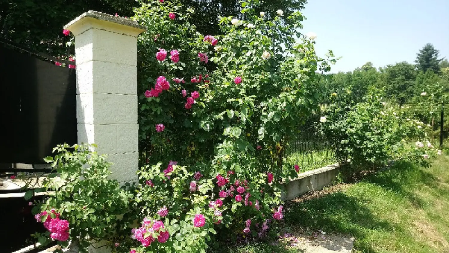  en venta casa rústica Monsols Rhône 6