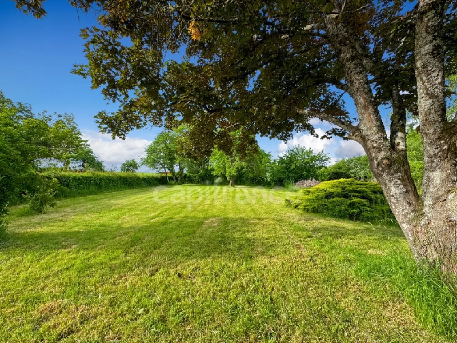  à vendre ferme Montapas Nièvre 8