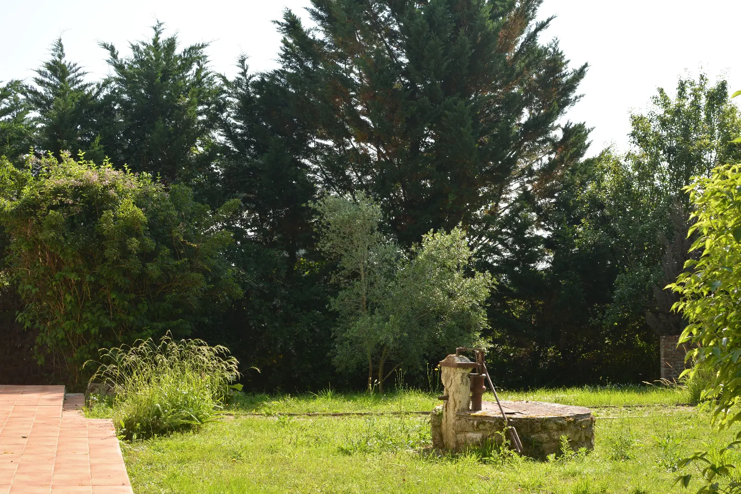 en venta casa rústica Roquebrune Gironde 3